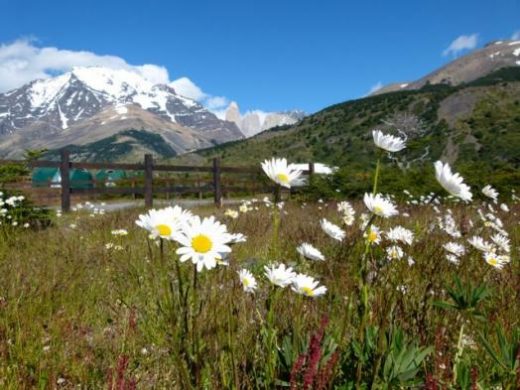 EcoCamp Patagonia is located at the base of the Torres del Paine.