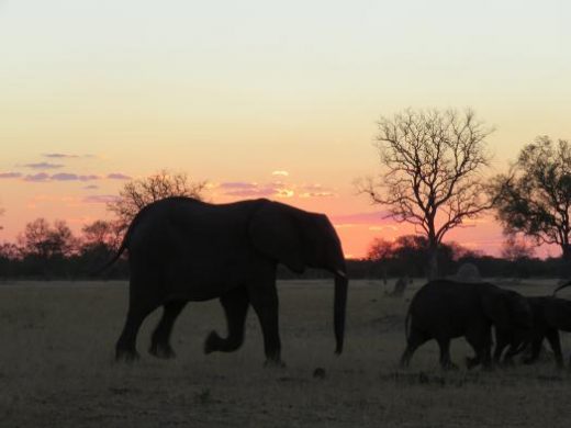 Enjoy a last beautiful sunset on the plains.