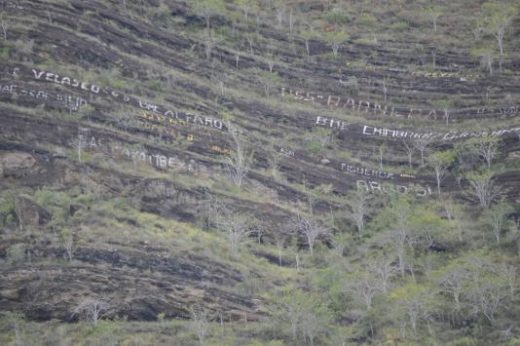 Decipher ancient mariners' graffiti at Tagus Cove