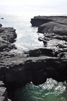 Look for fur seals (a type of sea lion) in the grotto