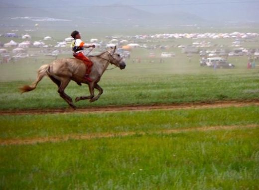 Watch the children race horses at the Naadam Festival