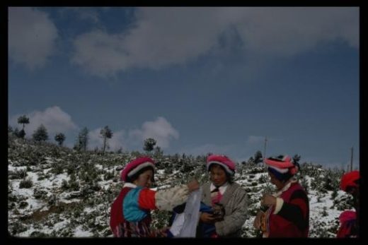 Tibetans of Yunnan