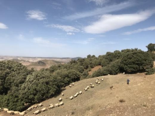 Enjoy the scenery on the way to the dessert