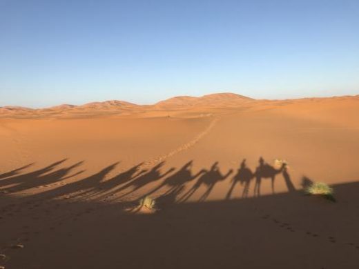 Riding through the desert on camels is unforgettable