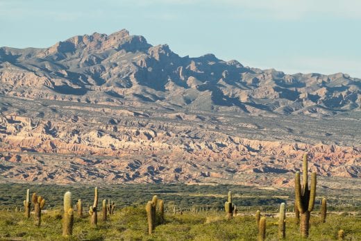 cacti and mountains