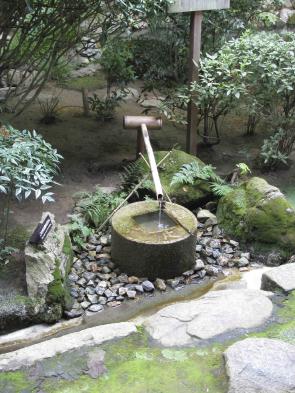 Explore Japanese style gardens in Kyoto