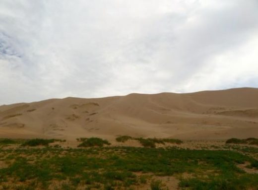 Climb the Khongor Sand Dunes