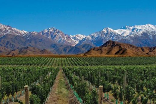 Impressive Mt. Aconcagua provides the backdrop