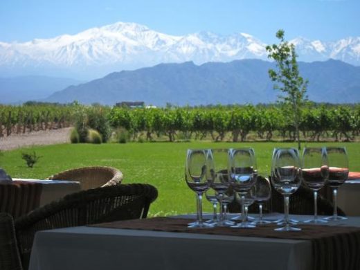 Enjoy wine tasting of Mendoza (Photo: )