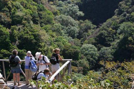 Learn about the environment on morning nature walks.