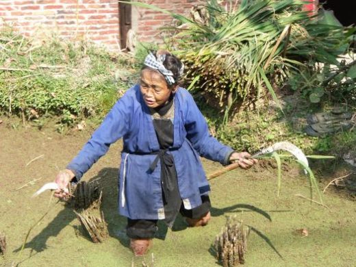 Fishing in rural China