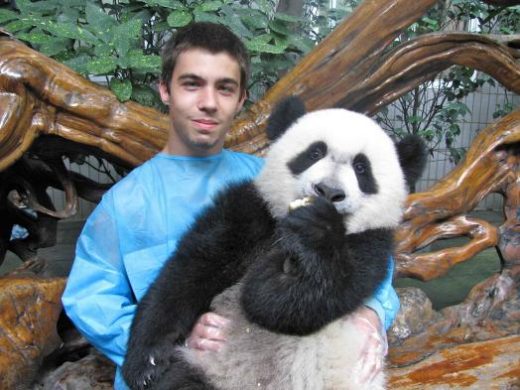 Hold a baby panda!