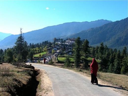 Scene from the Phobjika Valley