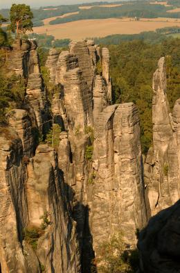 Walk among the sandstone spires at Prachov Rocks.