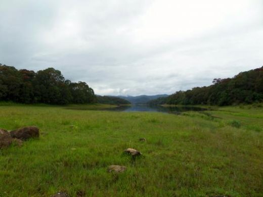 Enjoy a nature walk through Periyar