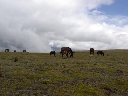 The views around Cotopaxi