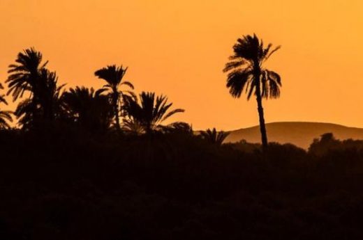 Sunset on the Nile