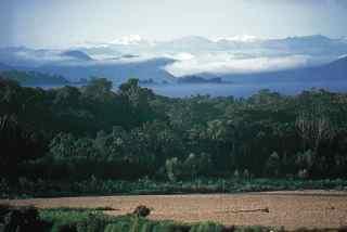 Tambopata