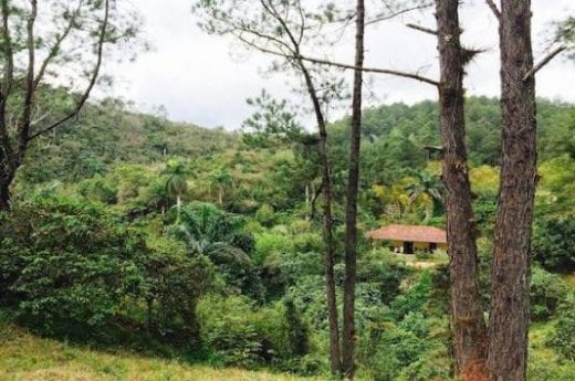 Topes de Collantes National Park