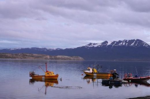 Paddle the waters around Tierra del Fuego