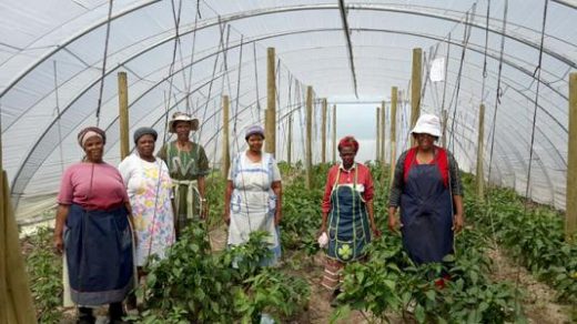 Meet people involved in Uthando projects