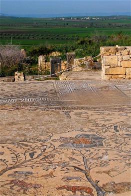 Volubilis mosaics