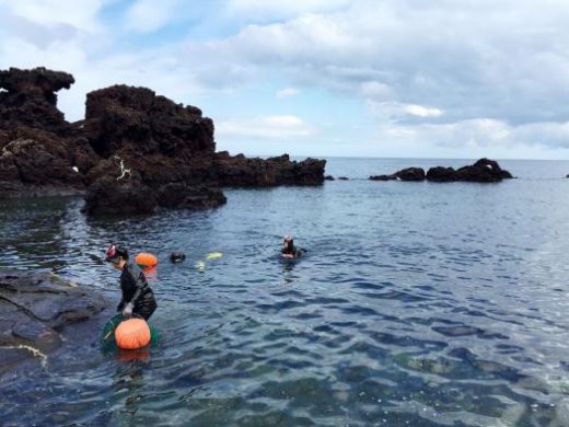 You may be able to see the Haeneo (women divers) today