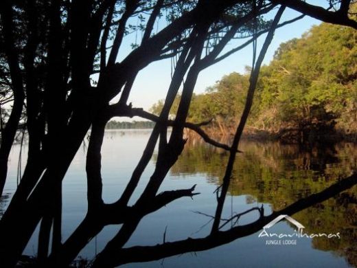 Explore the backwaters around the lodge