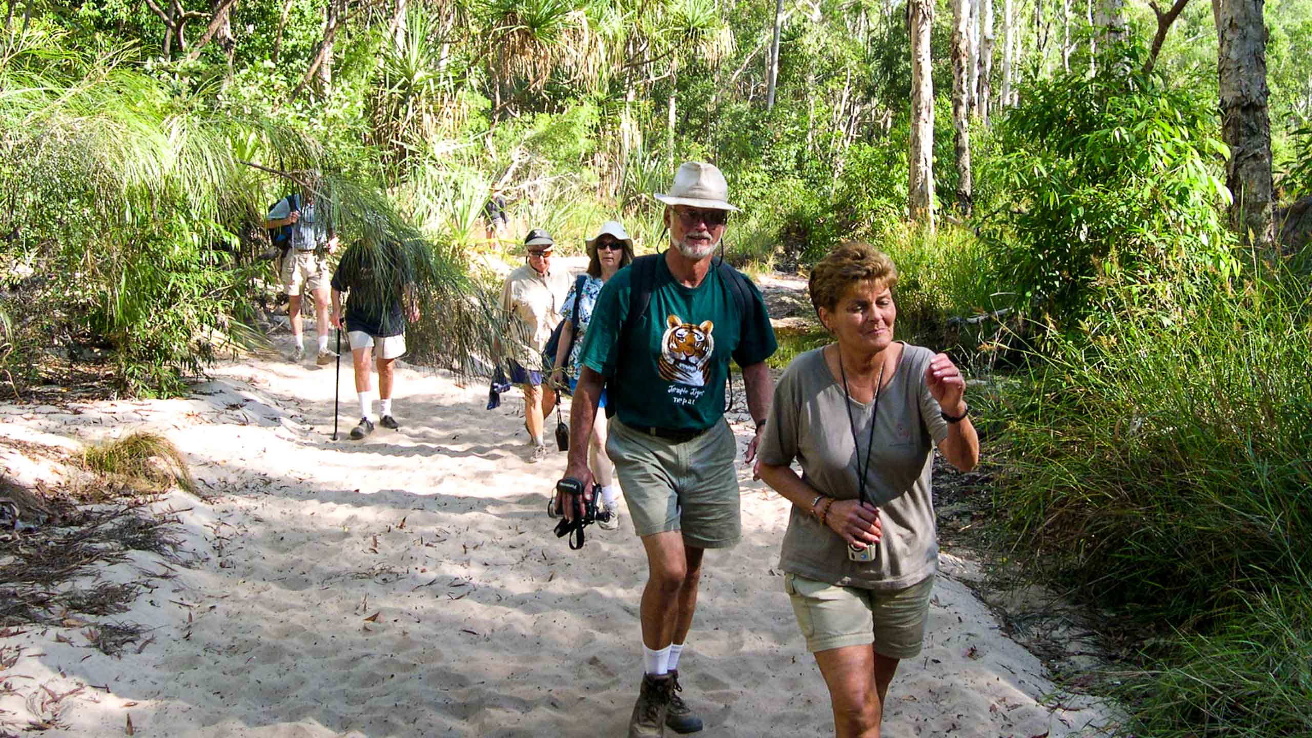 Travel group hikes in Australia forest