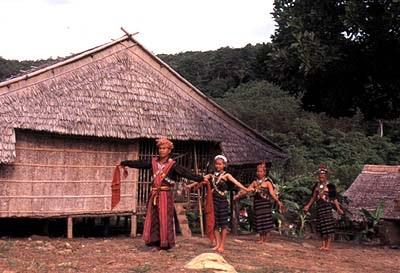 Stay in a longhouse for a great cultural experience.