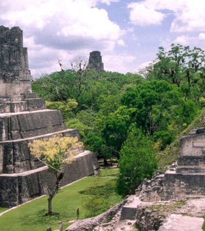 Mayan temple of Tikal