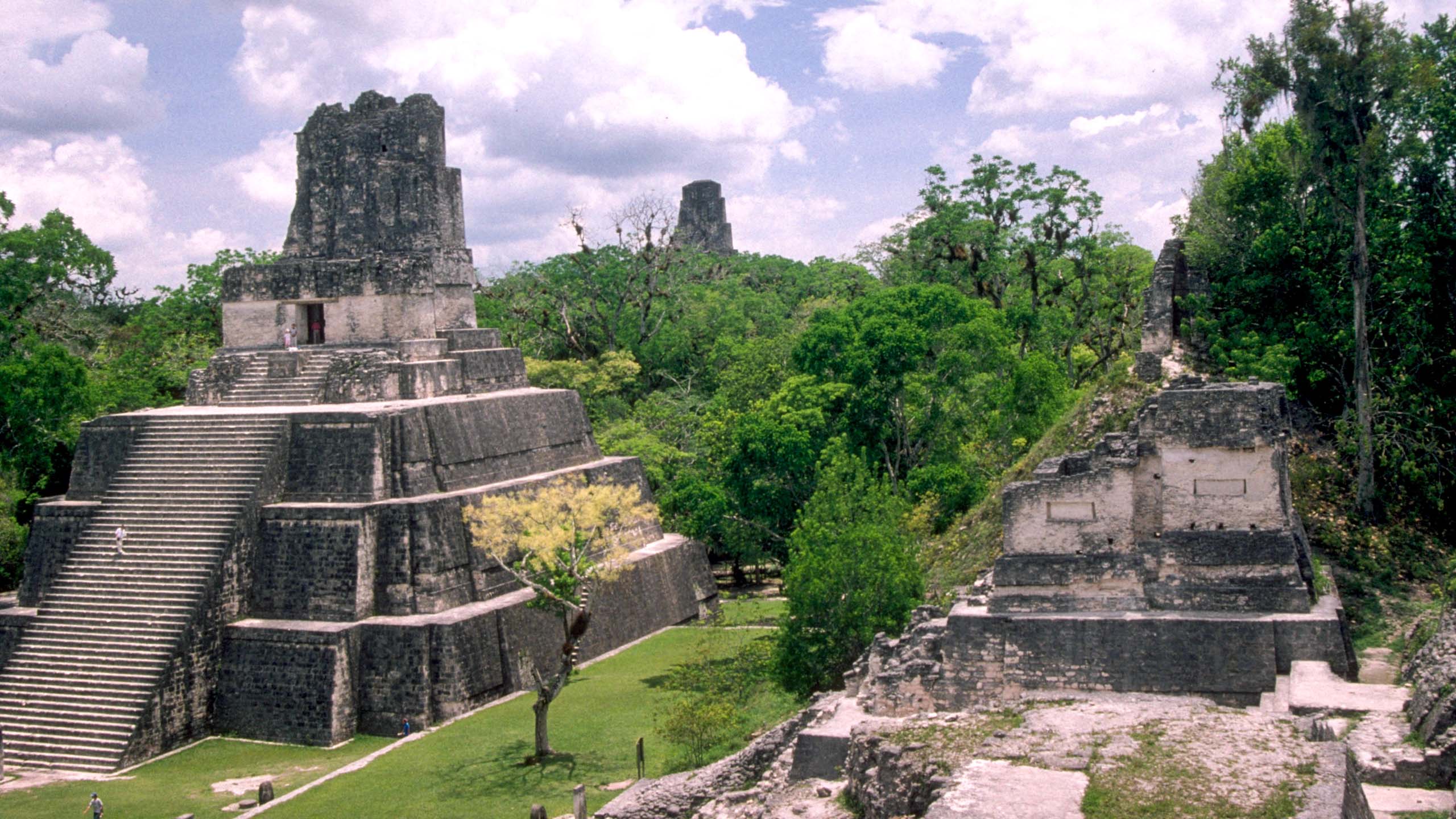 Mayan temple of Tikal