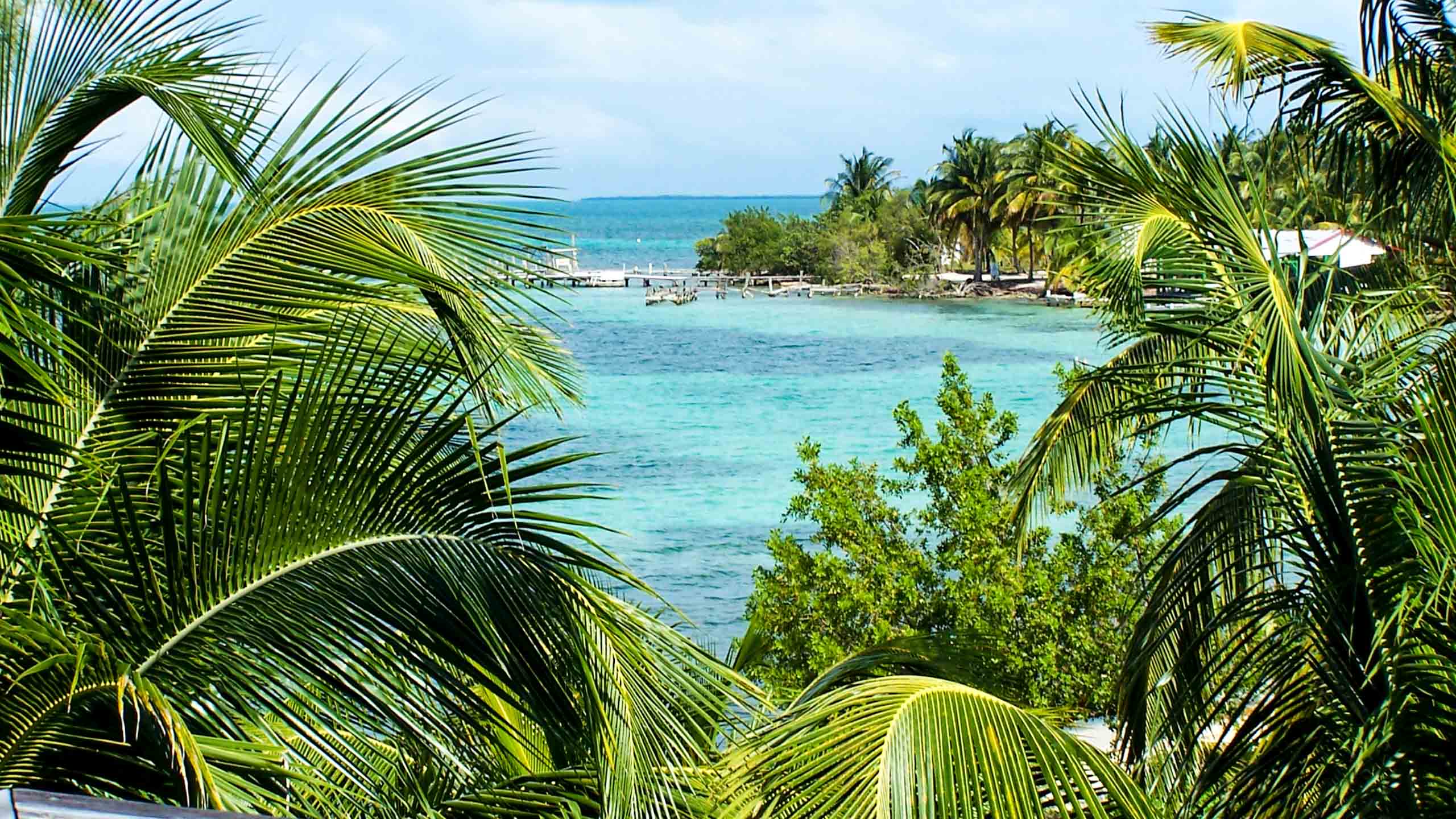 View of Belize ocean through jungle fronds