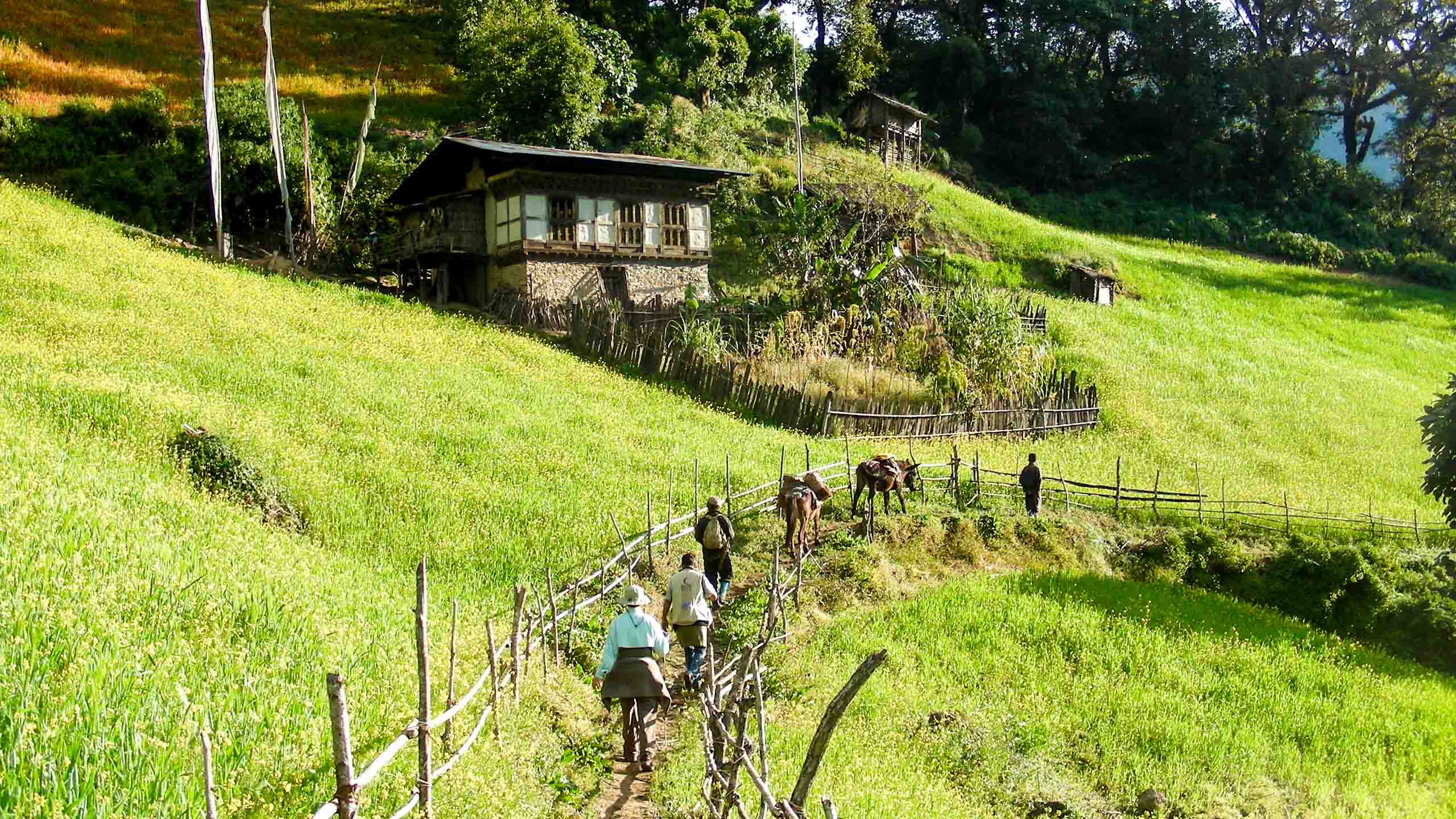 Hiking group walks through Bhutan valley