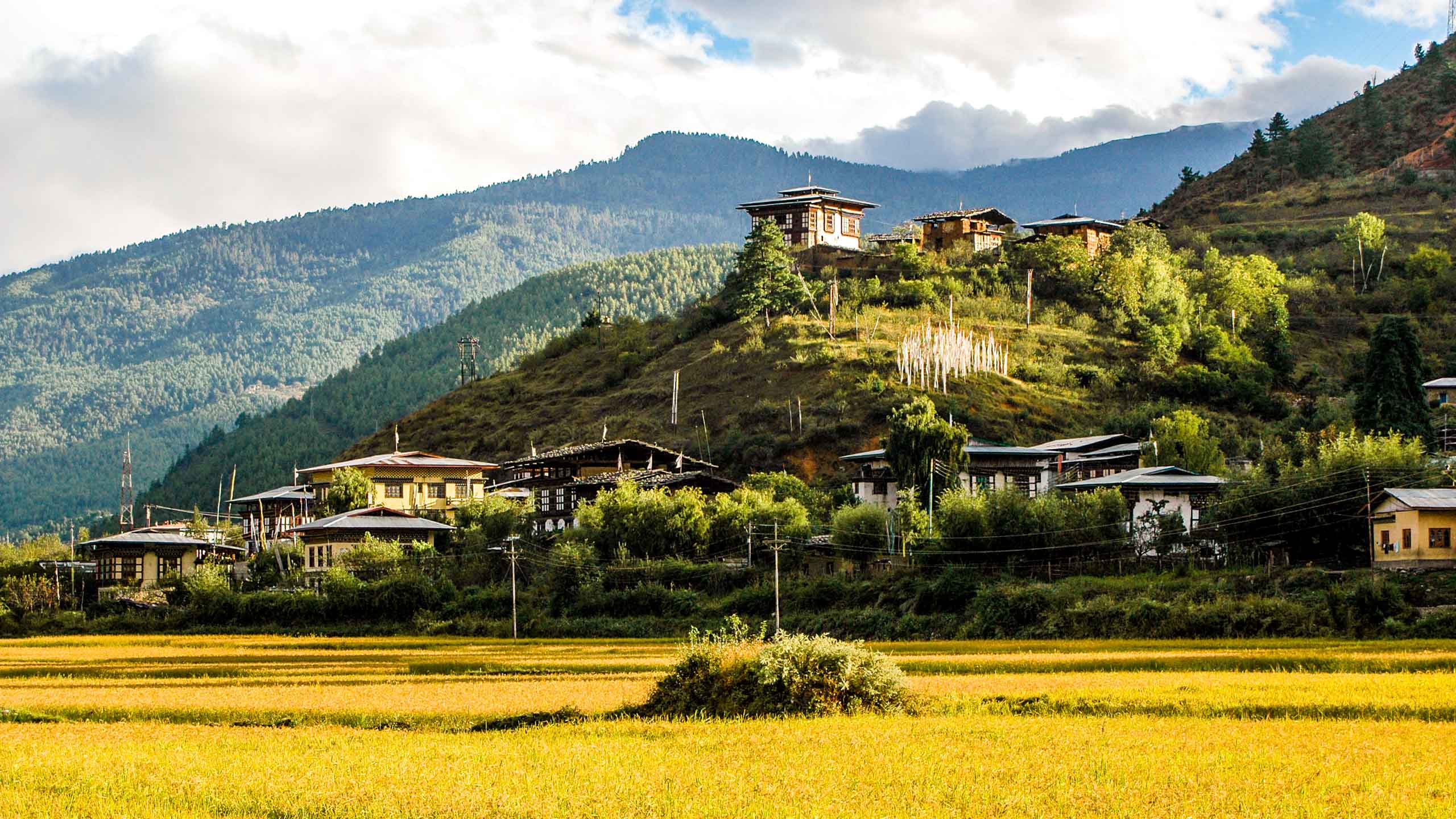 Town resting on hill in Bhutan