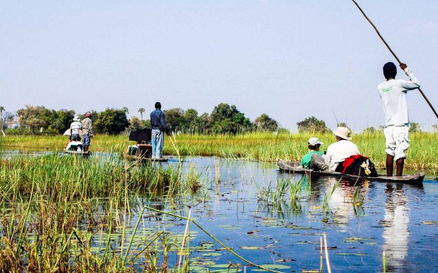 Group rafts on Botswana delta