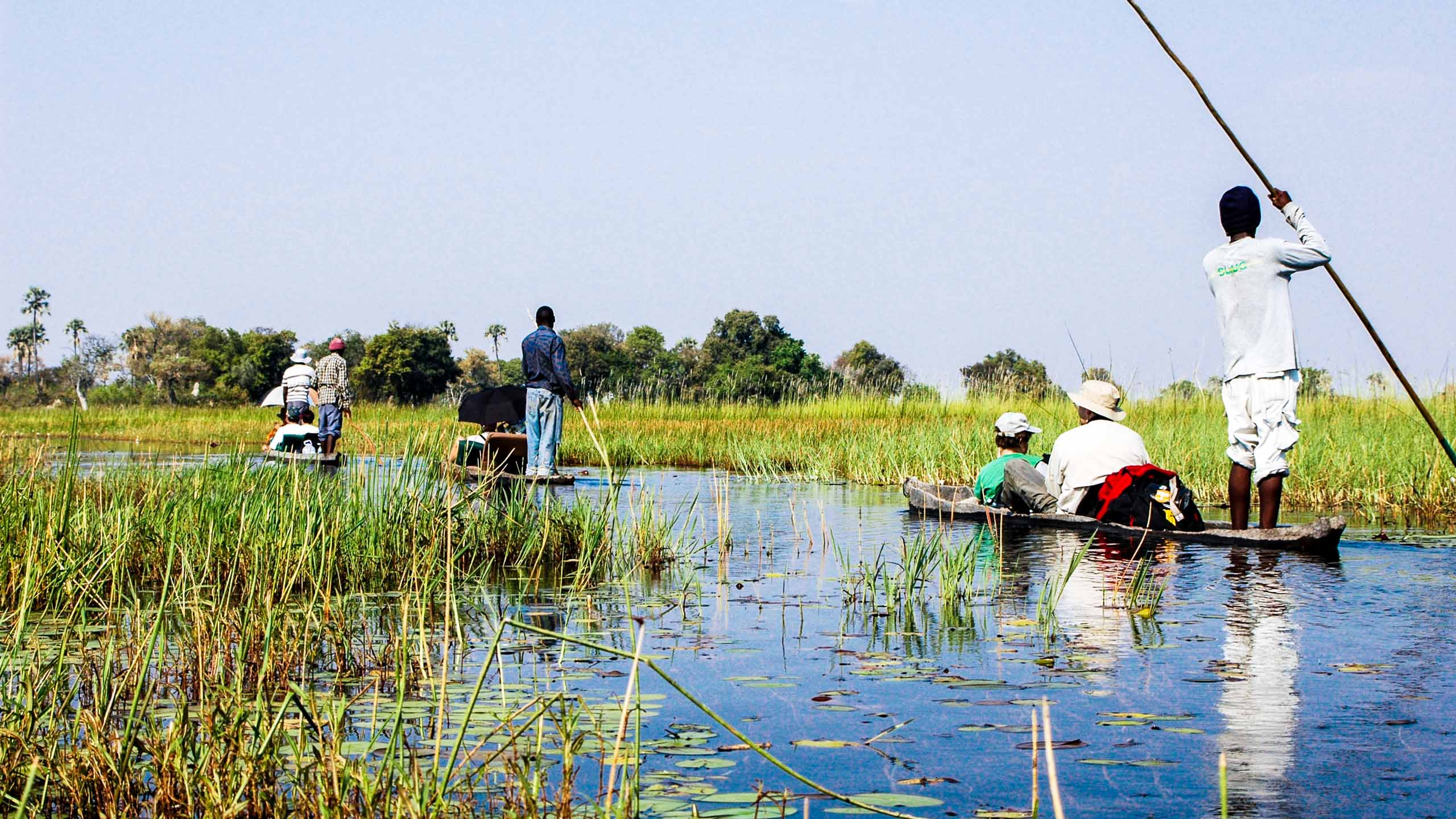 Group rafts on Botswana delta