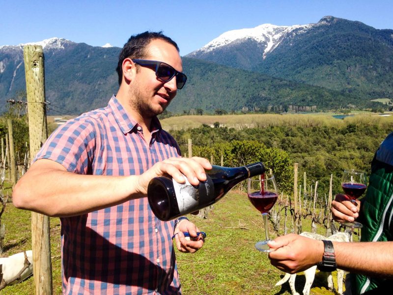 Man pours wine in Chile field