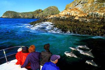 Bruny Island cruise