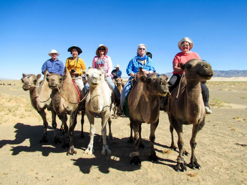 Group of travelers ride camels