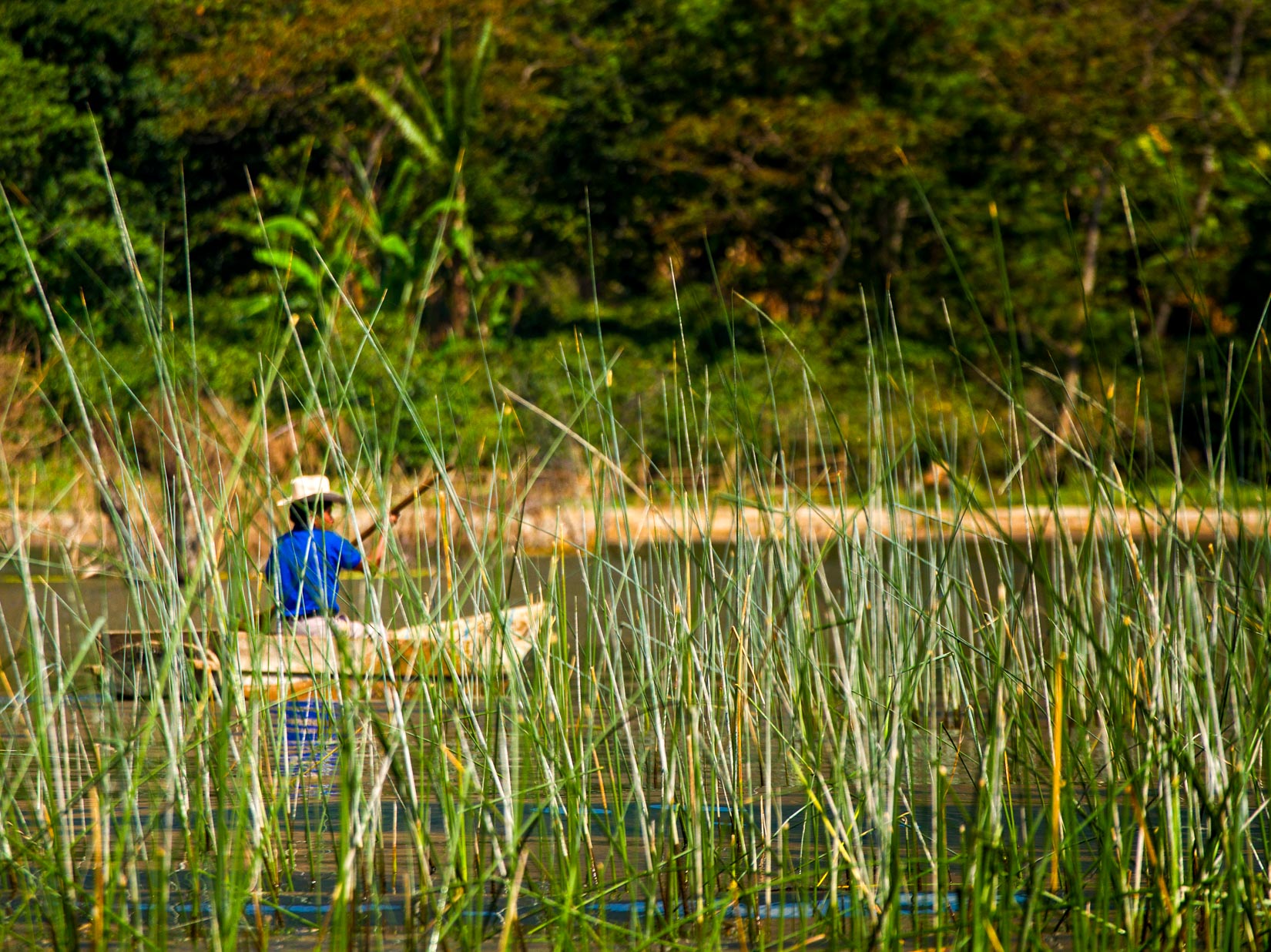 Man rows boat among Guatemala reeds