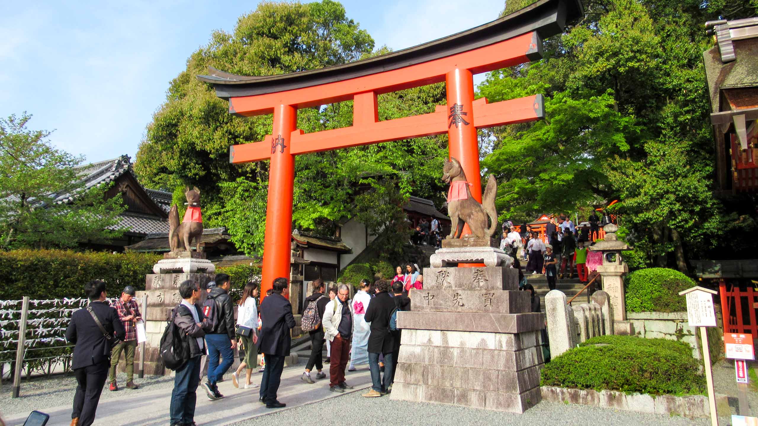 Groups of travelers walk under red Japanese archway