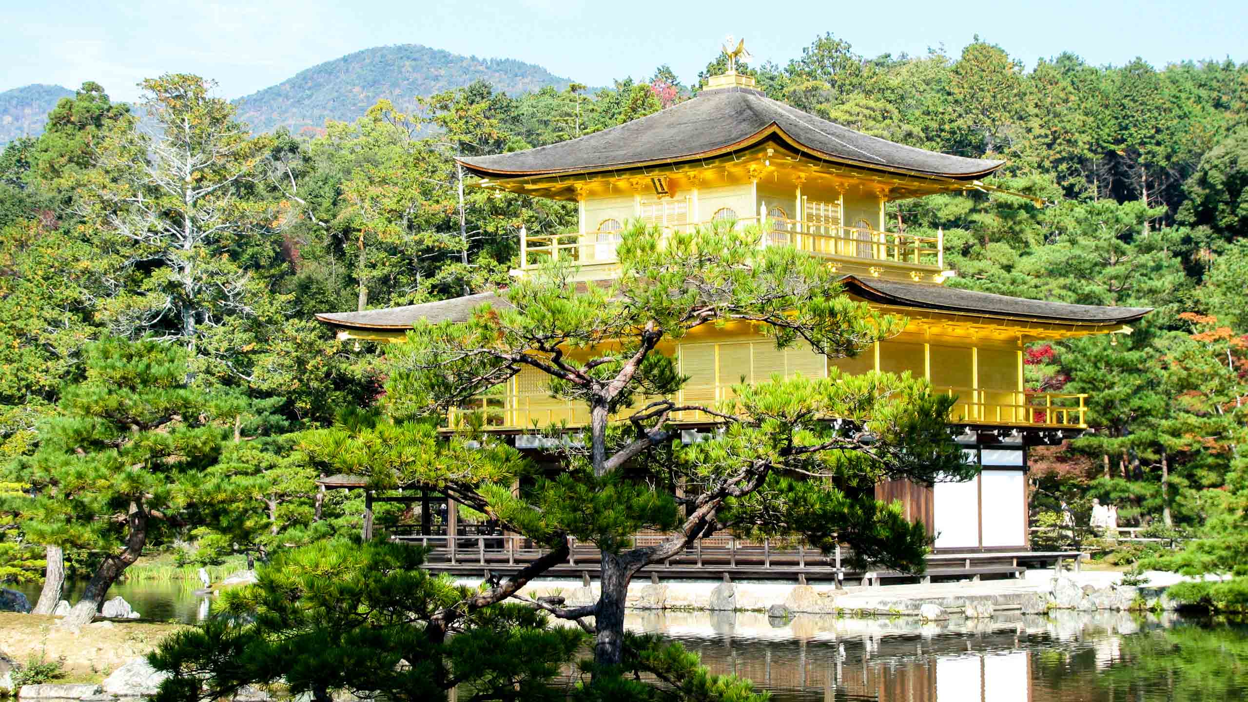 Japanese temple seen through trees