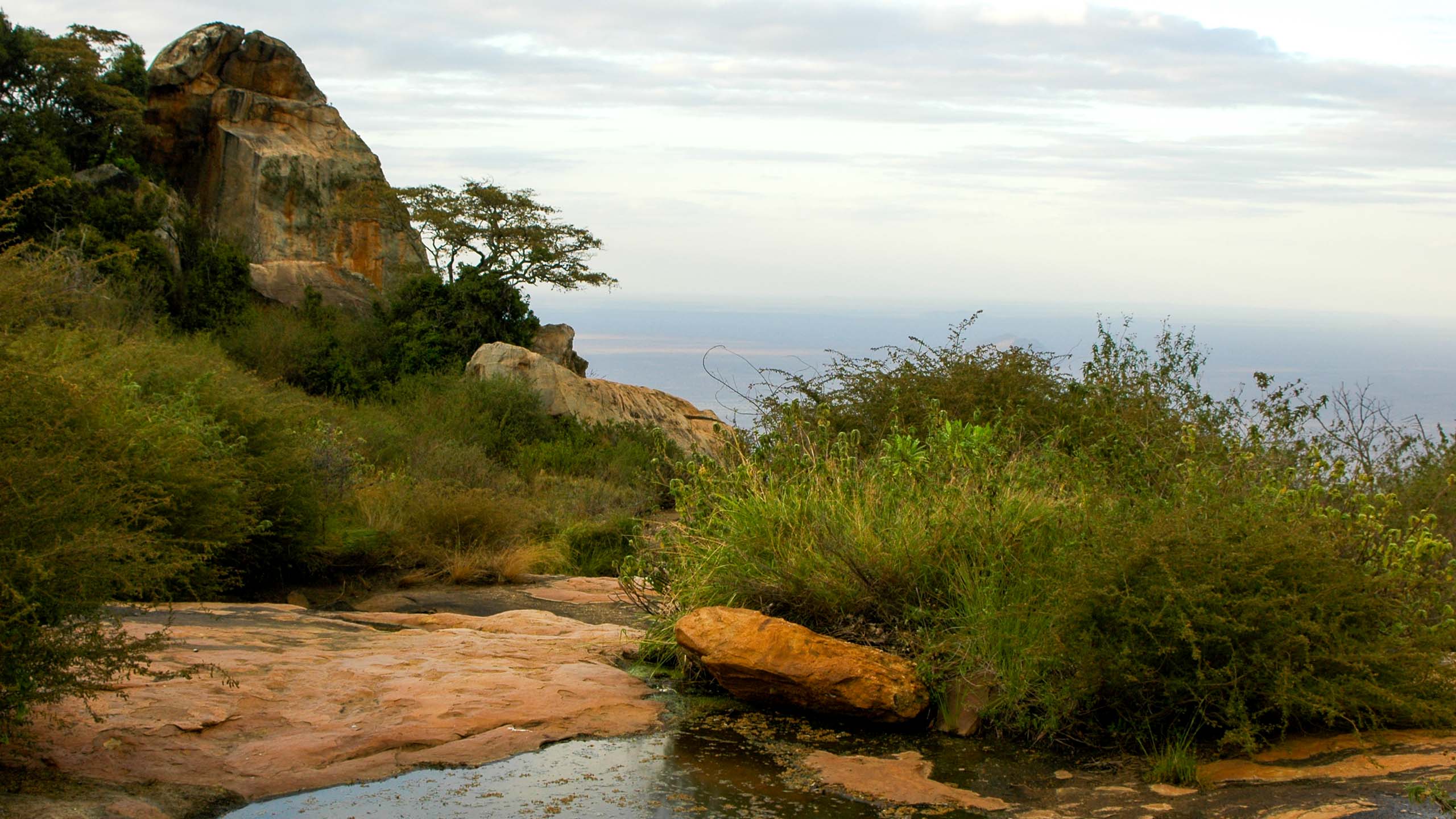 Kenya landscape