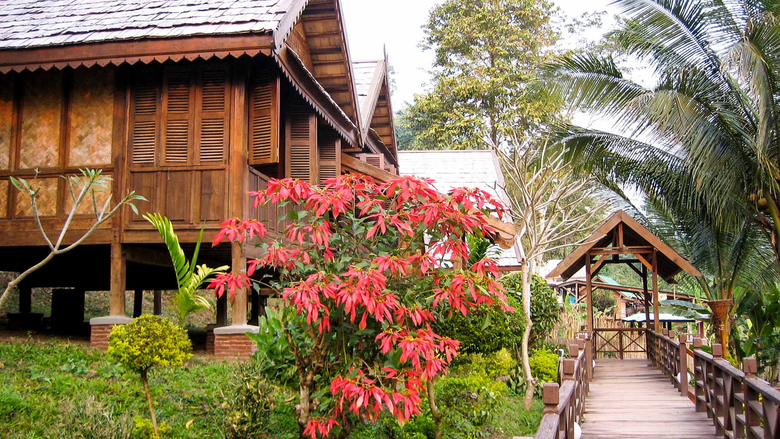 Flowers outside Laos cabins