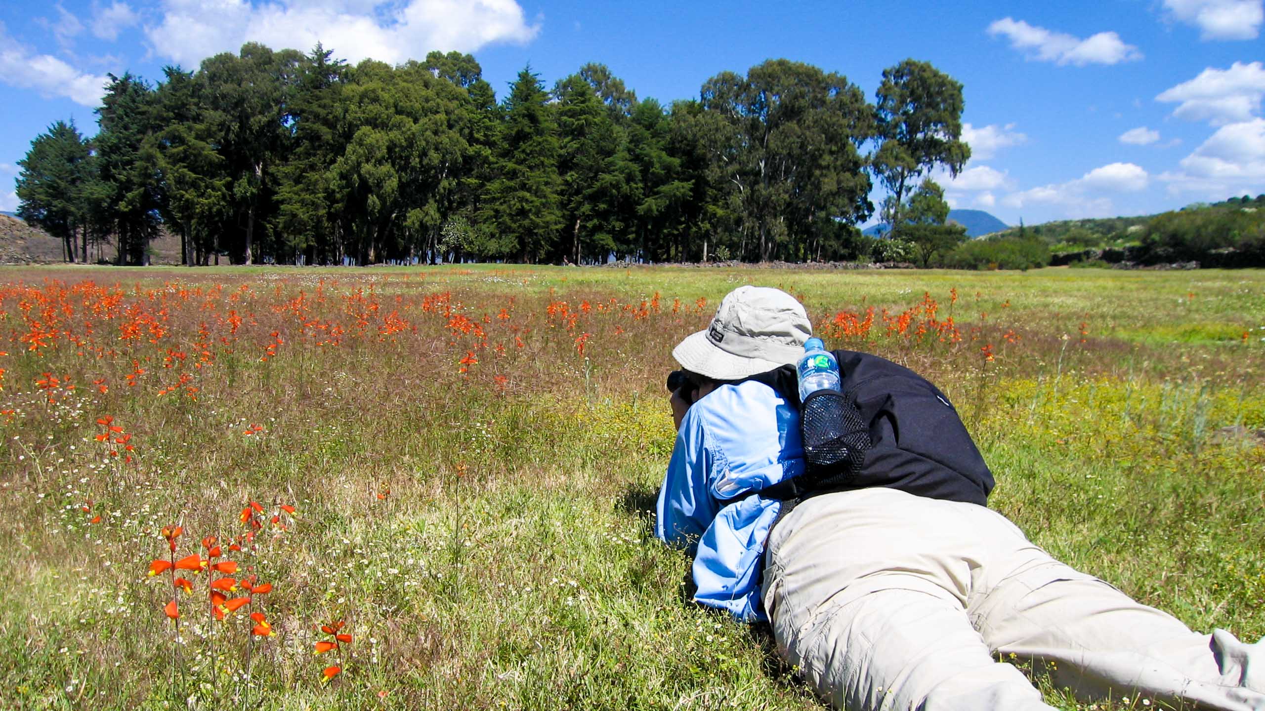 Traveler lies on stomach to take photo of field