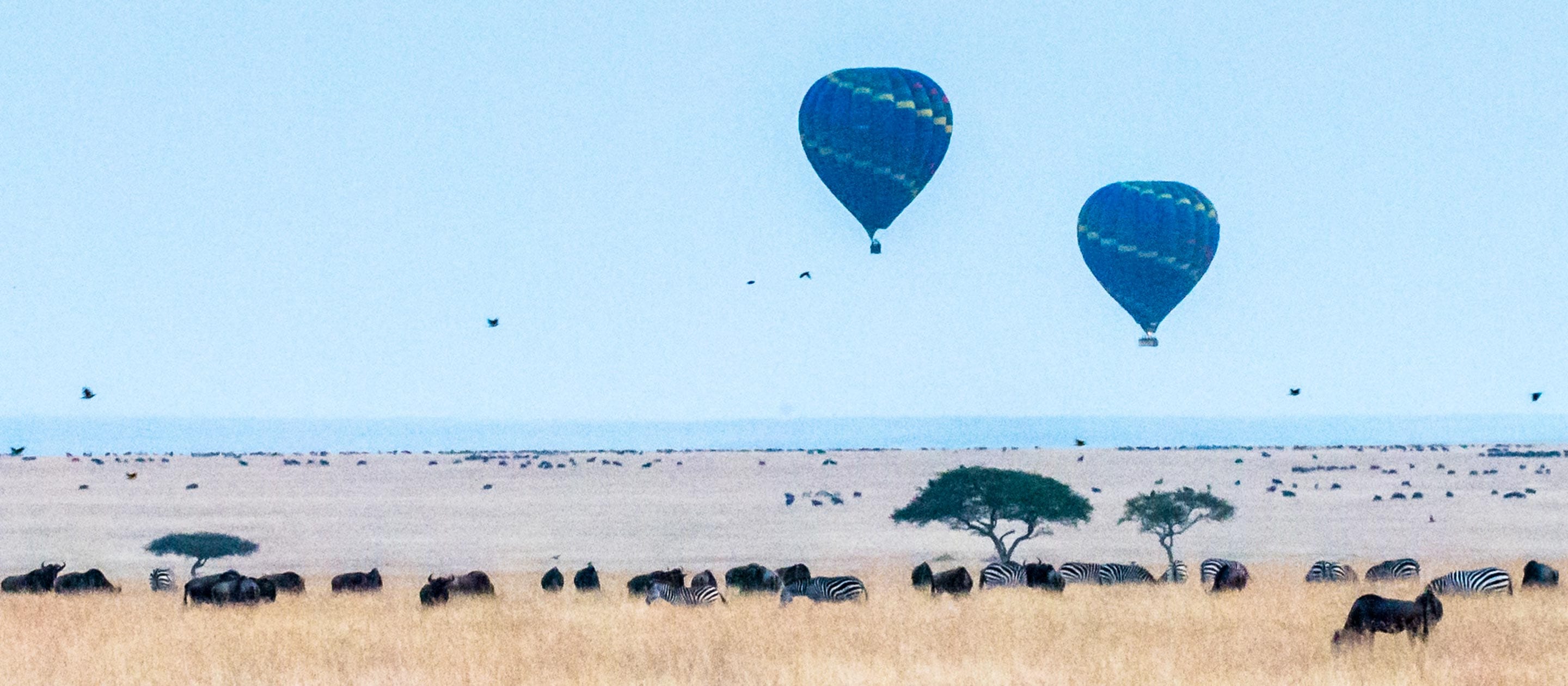 Early morning hot air balloons in Kenya