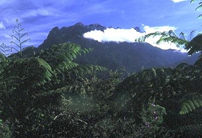 Mt. Kinabalu.