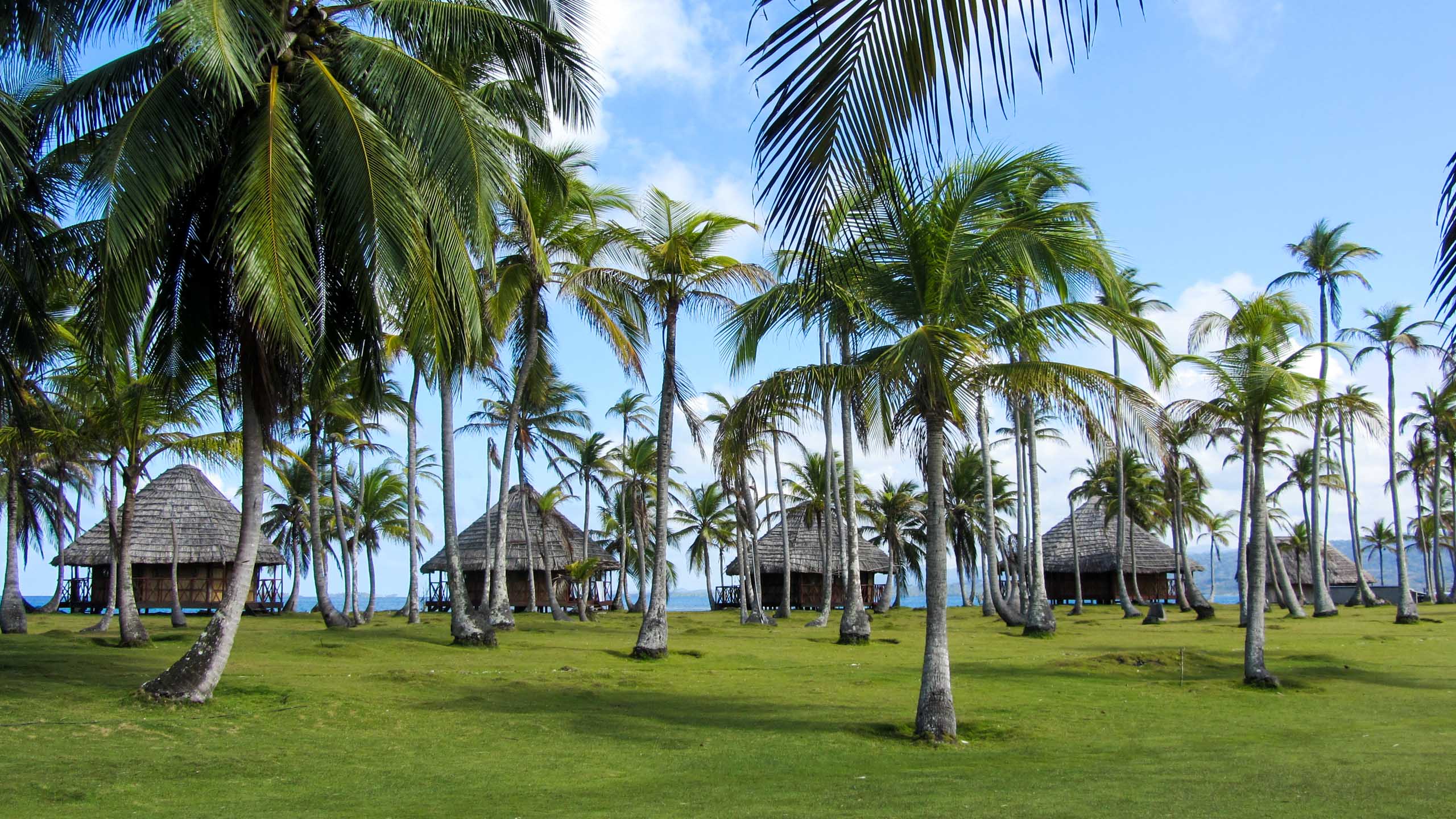 Cabins viewed through palm trees in Panama