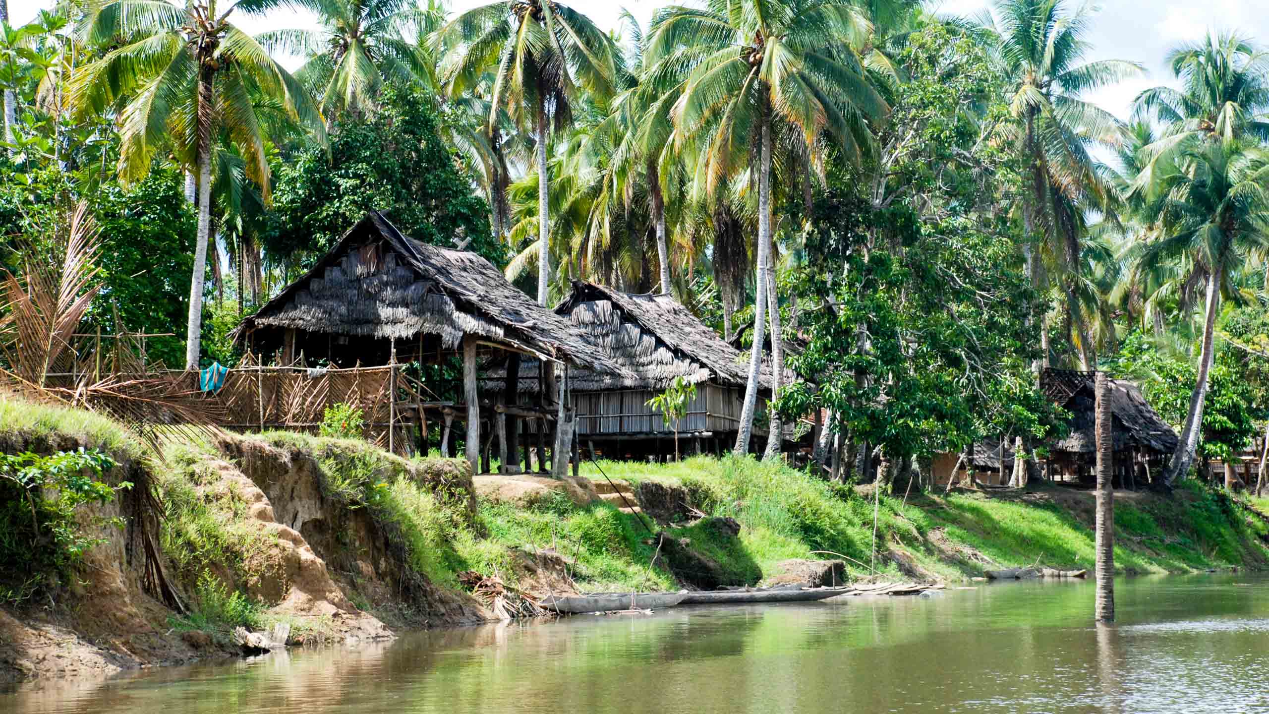 Houses on the bank of Papua New Guinea river